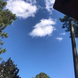 Meet your Posher, Frankie